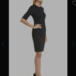 Daxine Back Zip Sheath Dress